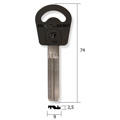 ВИ79 Mul-T-Lock 064