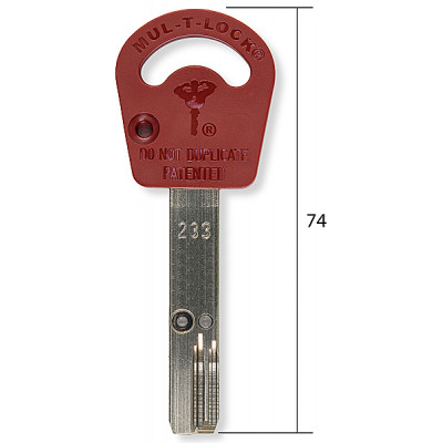 ВИ81 Mul-T-Lock 233S 